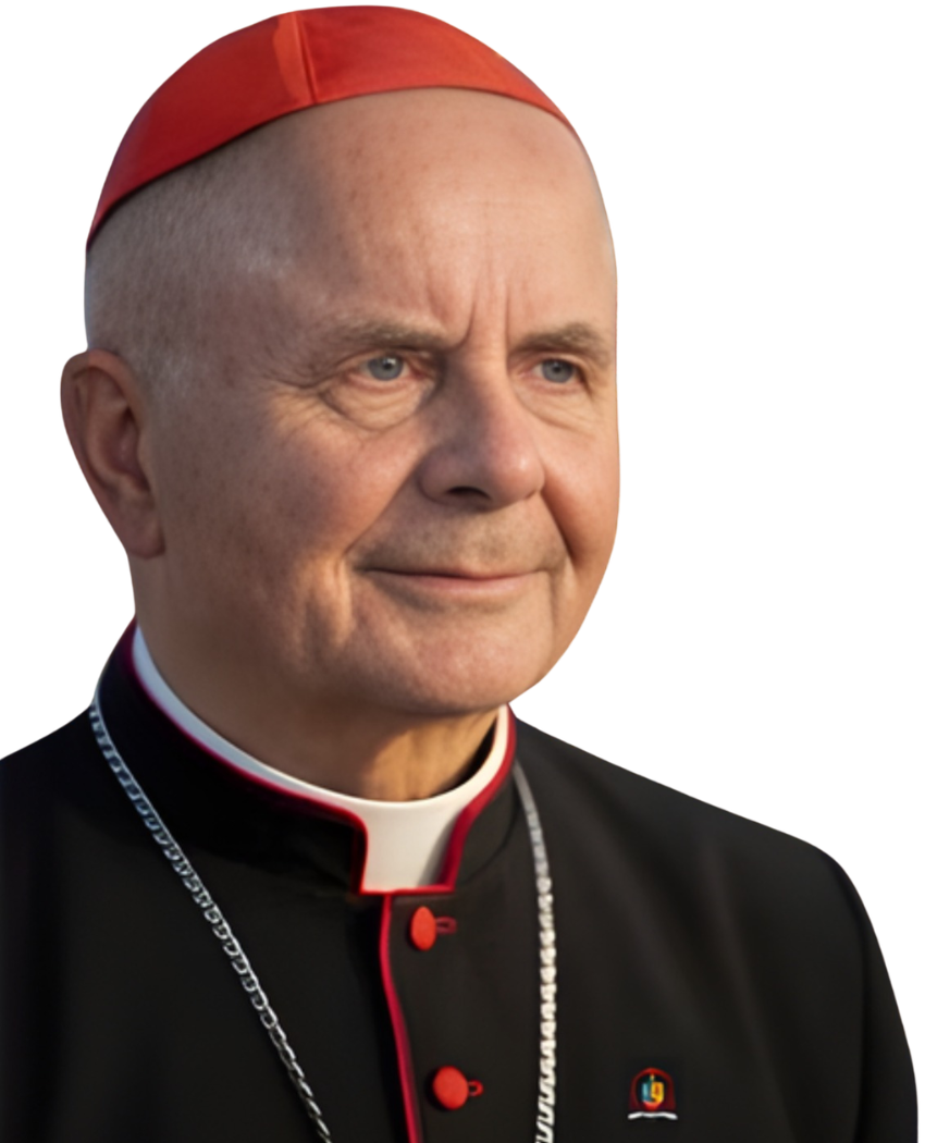 Cardinal Image